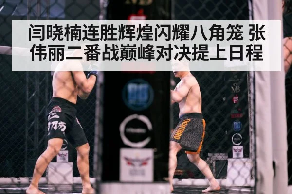 MMA cage fight